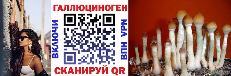 как найти закладки  Нея  Галлюциногенные грибы мицелий 